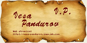 Vesa Pandurov vizit kartica